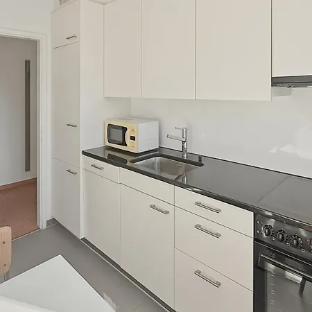 Cozy 1br Near With Balcony - Mill 422 Apartment Zurich