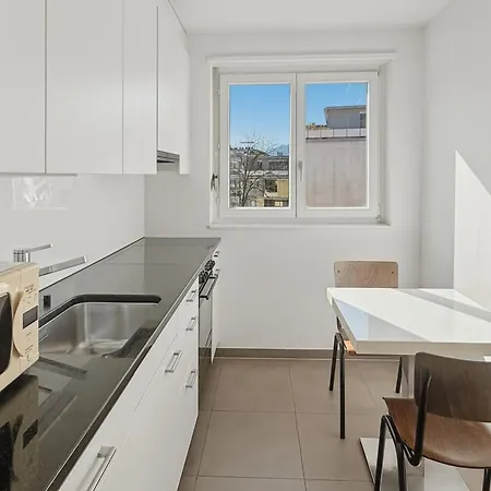 Cozy 1br Near With Balcony - Mill 422 Apartment Zürich